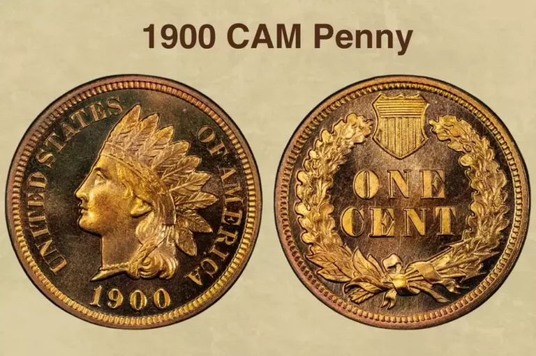 1900 Indian Head Penny Proof Cameo showing mirror-like fields contrasting with frosted raised devices and lettering